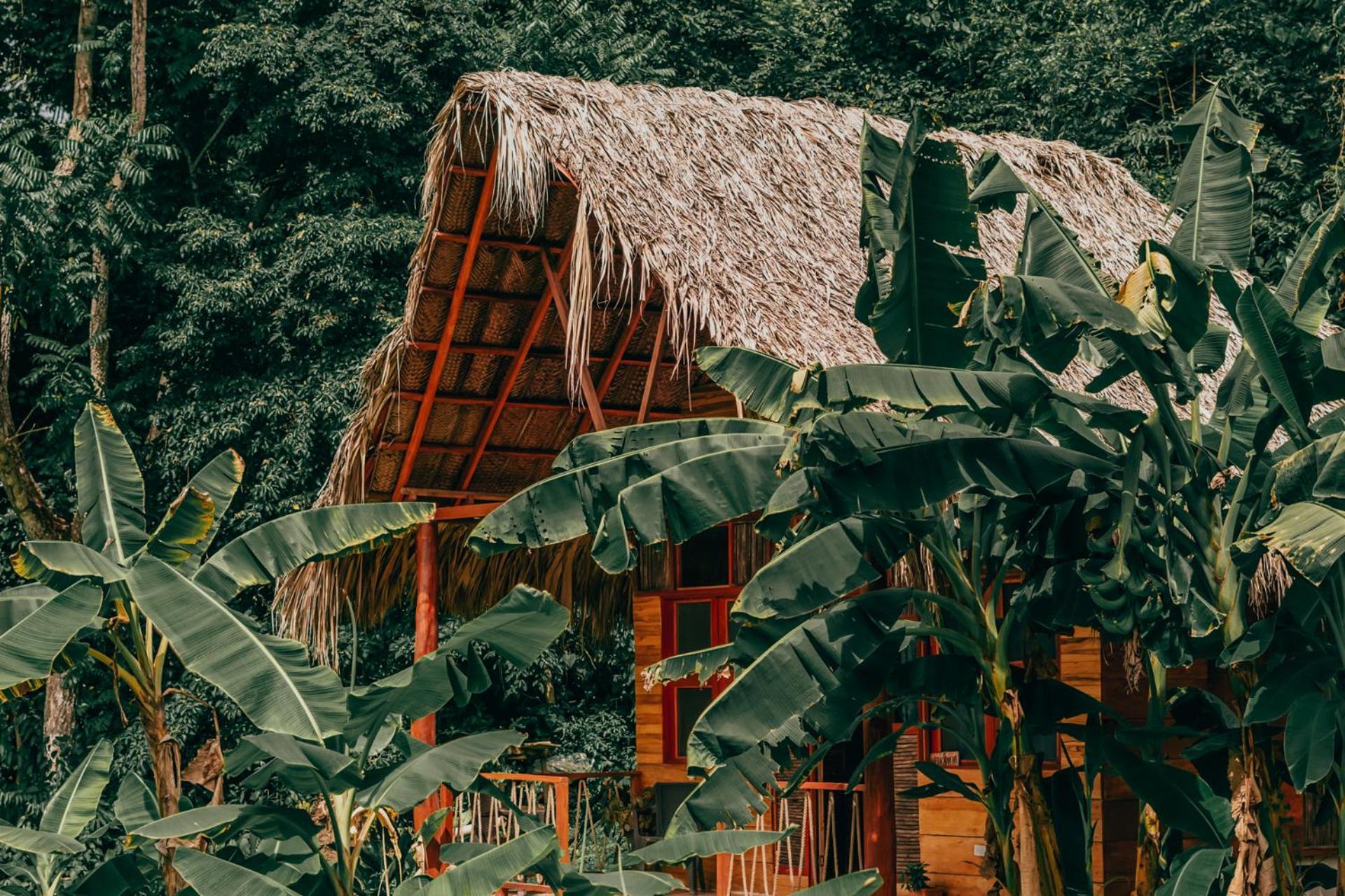 Magic Green Dentro Del Parque Tayrona Zaino Kültér fotó