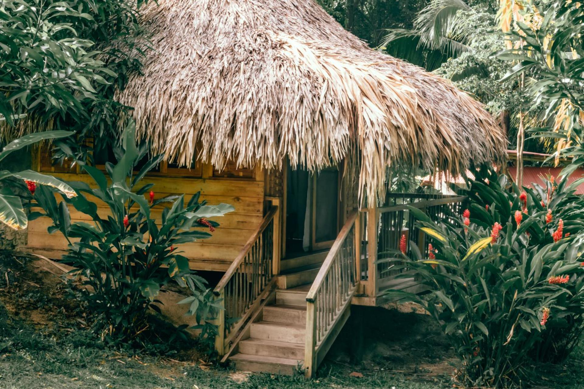 Magic Green Dentro Del Parque Tayrona Zaino Kültér fotó
