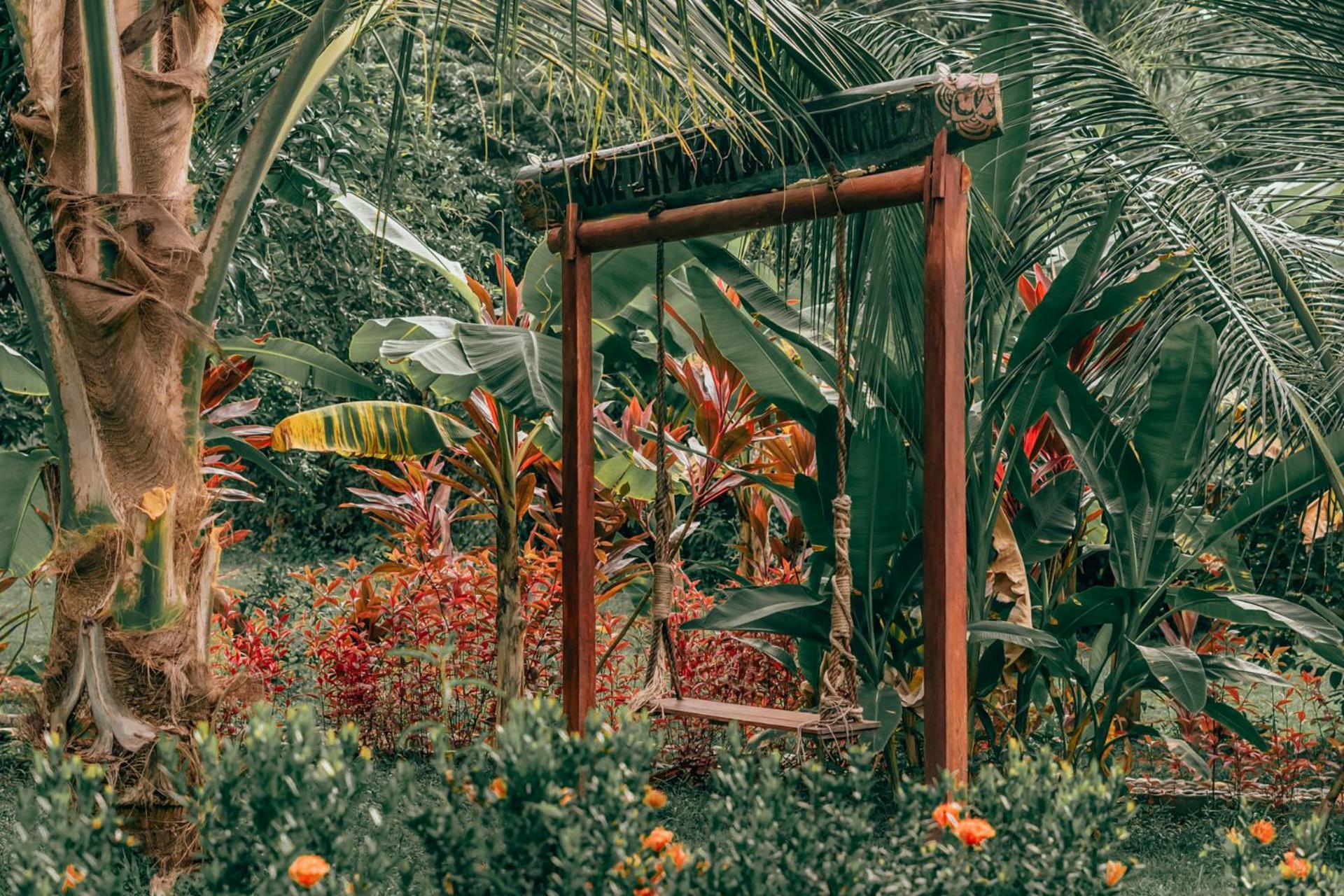 Magic Green Dentro Del Parque Tayrona Zaino Kültér fotó