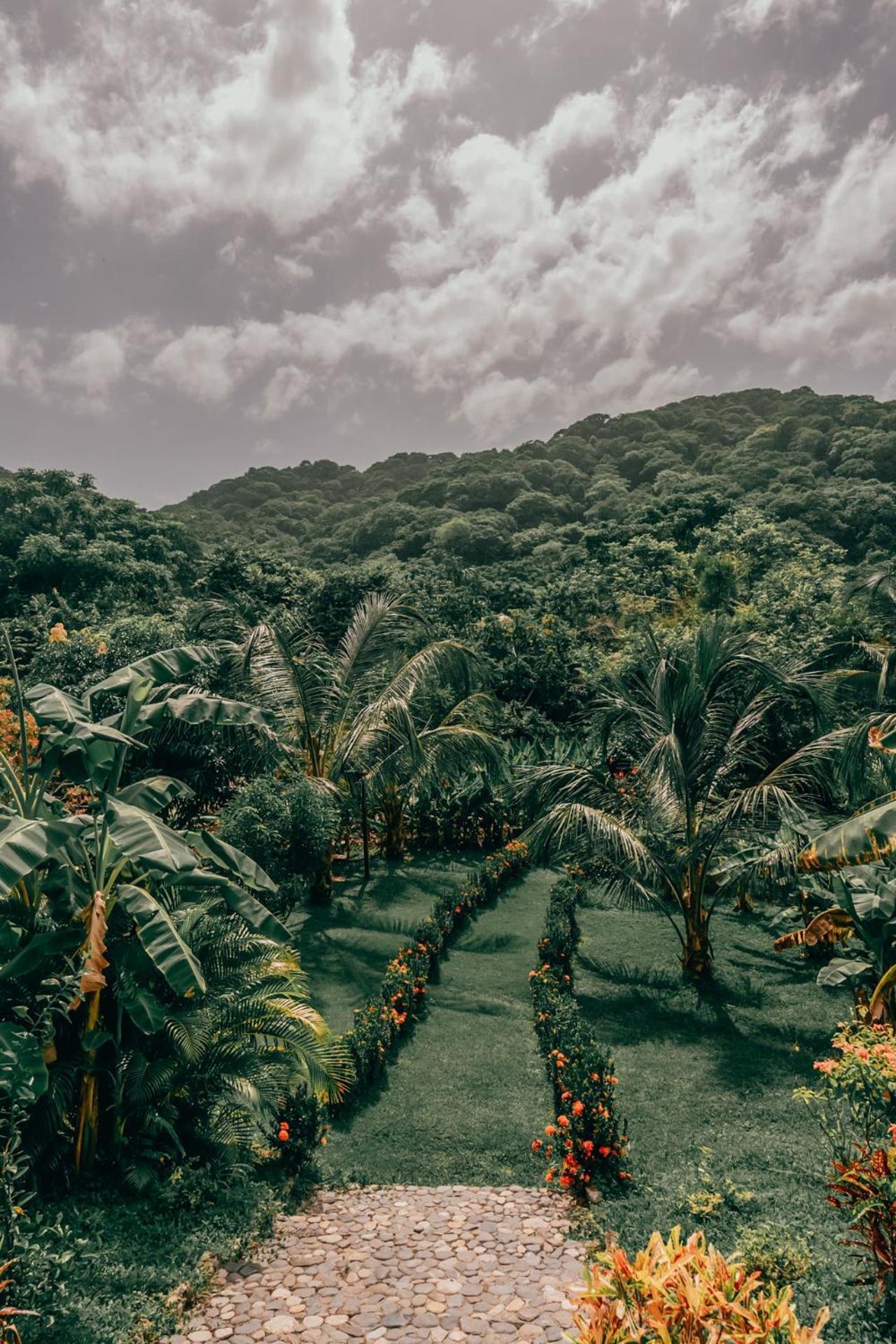 Magic Green Dentro Del Parque Tayrona Zaino Kültér fotó