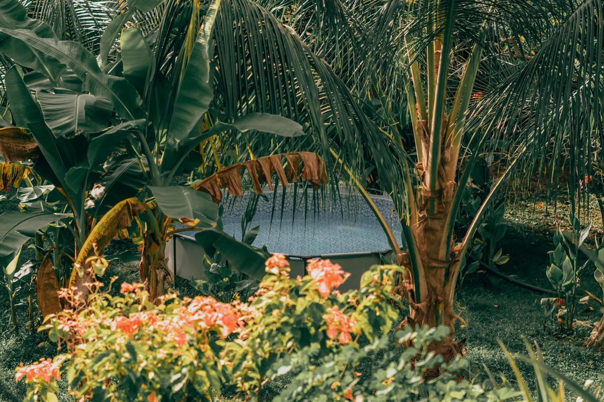 Magic Green Dentro Del Parque Tayrona Zaino Kültér fotó